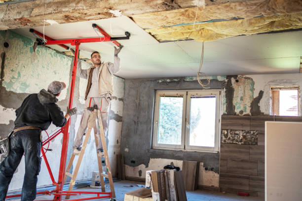 Best Eco-Friendly or Green Insulation Solutions  in Romulus, MI