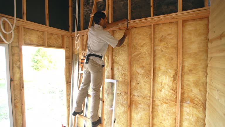 Best Insulation for New Construction  in Romulus, MI