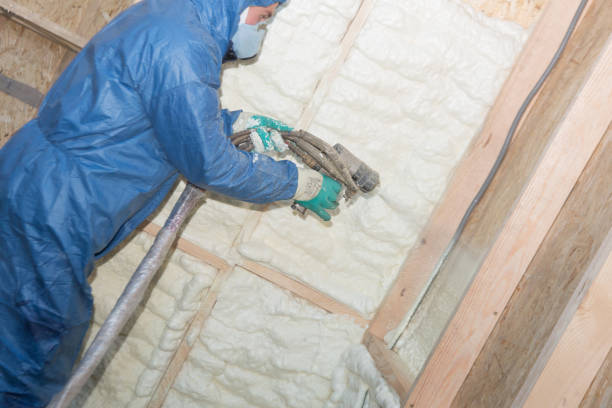 Best Garage Insulation  in Romulus, MI